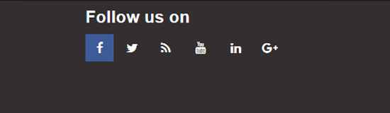 550x160 Beautiful Html Social Media Buttons
