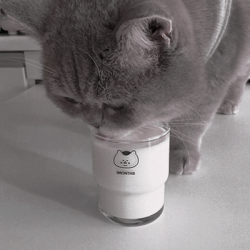 250x250 Soft Icon Tumblr