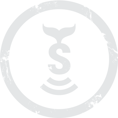 400x400 Icon Sonar Wave