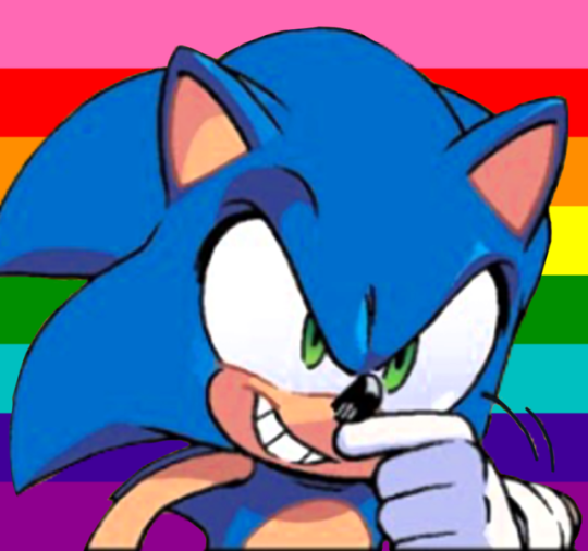540x506 Sonic Pride Icons Tumblr