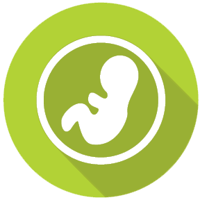 288x288 Sonography Icon