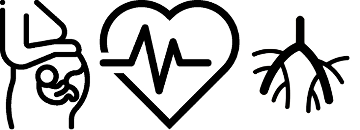 720x260 Diagnostic Medical Sonography Allied Health University