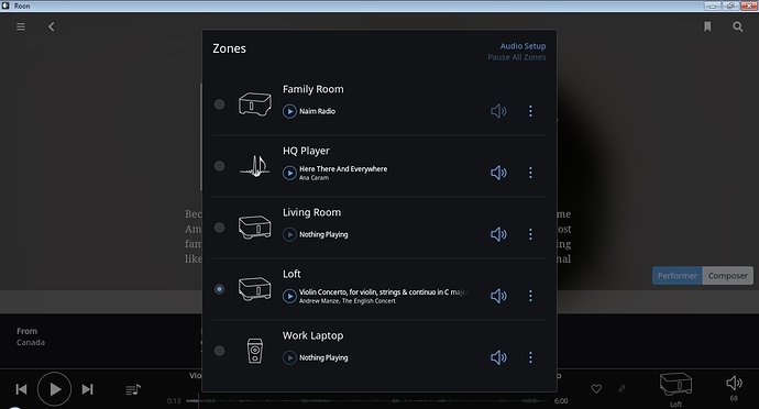 Sonos Icon