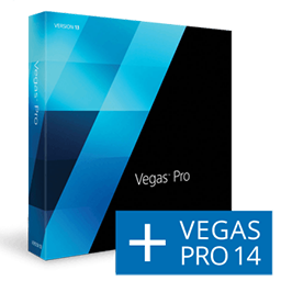 256x256 Sony Vegas Pro