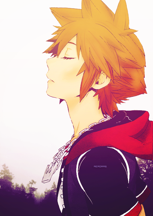 500x705 My Edits Kingdom Hearts Sora Icons A Thing I Did