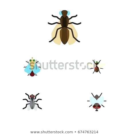 450x470 Mosquito Buzz Flat Icon Housefly Set Of Tiny Buzz Mosquito