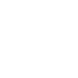 256x256 White Soundcloud Icon