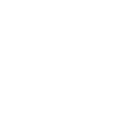 256x256 Free White Soundcloud Icon