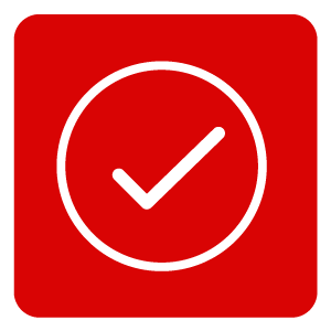 300x300 About Check Icon