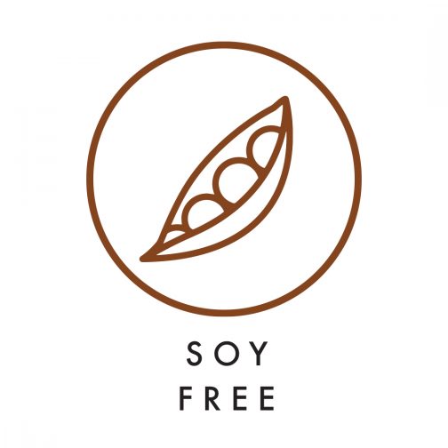 504x504 Icon Soy Free