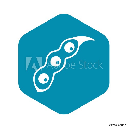 500x500 Ripe Soybean Icon Simple Illustration Of Ripe Soybean Vector Icon