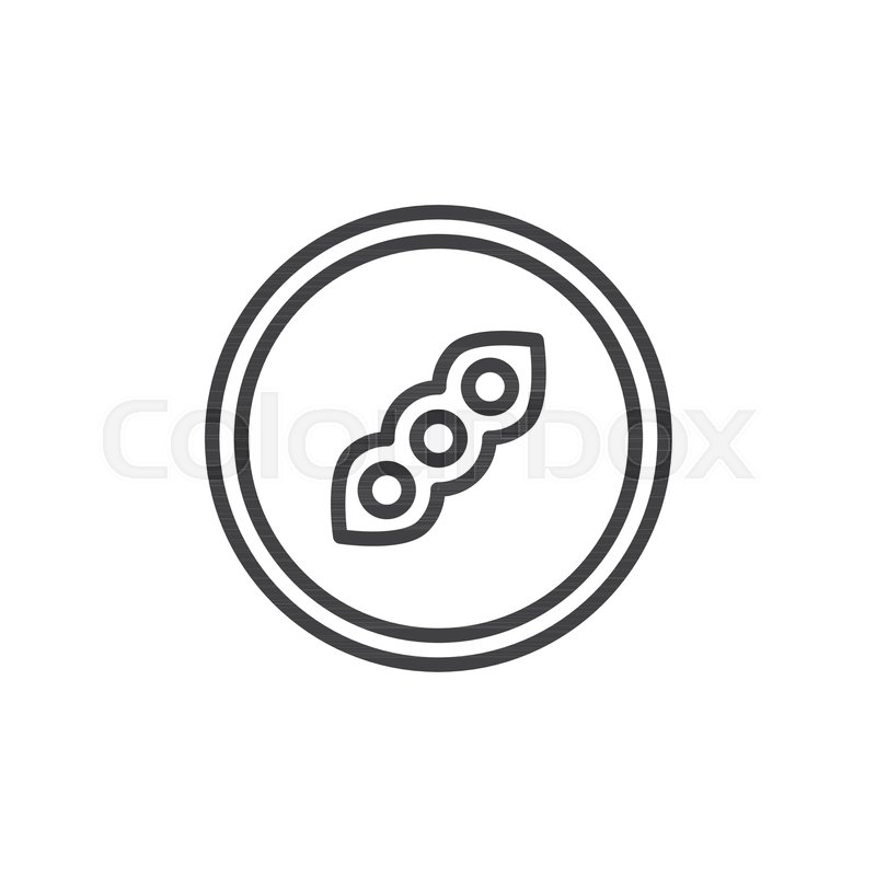 800x800 Soy Beans Seed Outline Icon Linear Stock Vector Colourbox