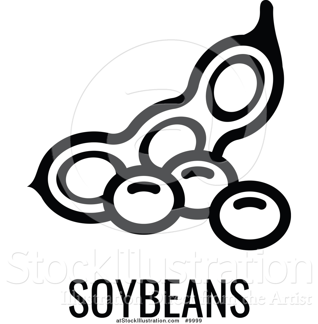 1024x1044 Soybean Icon