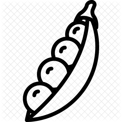 512x512 Soybeans Icon Of Line Style