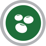 150x150 Soybean Icon