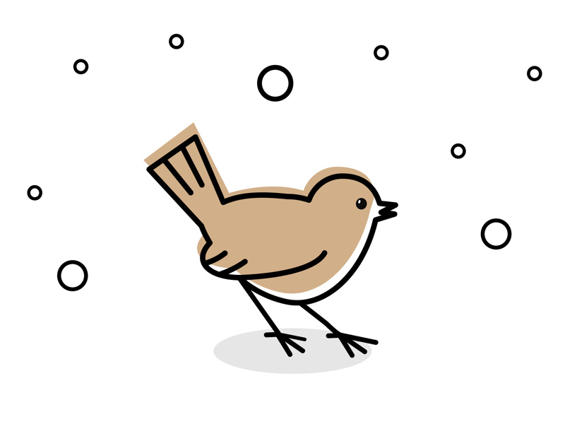 800x600 Baby Sparrow Icon