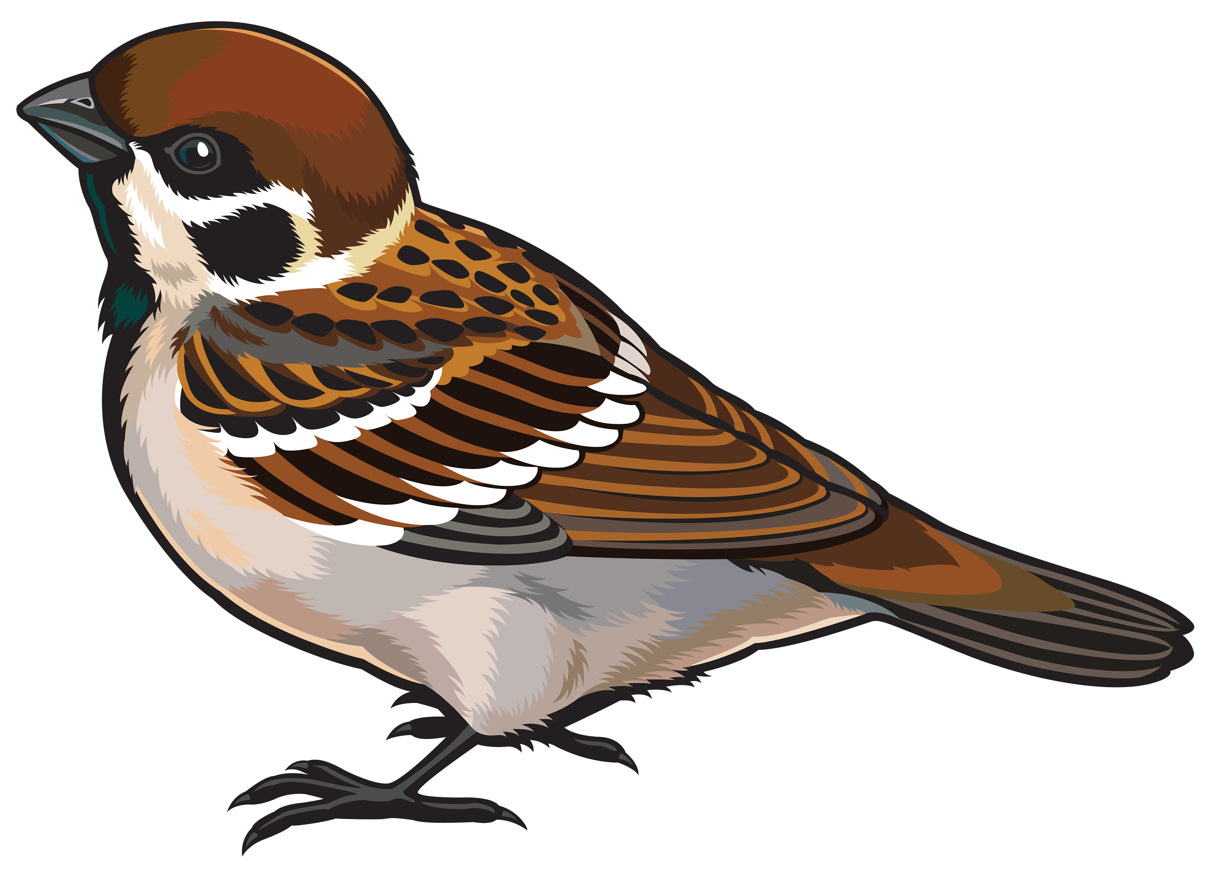 4000x2882 Sparrow Transparent Png Web Icons Png