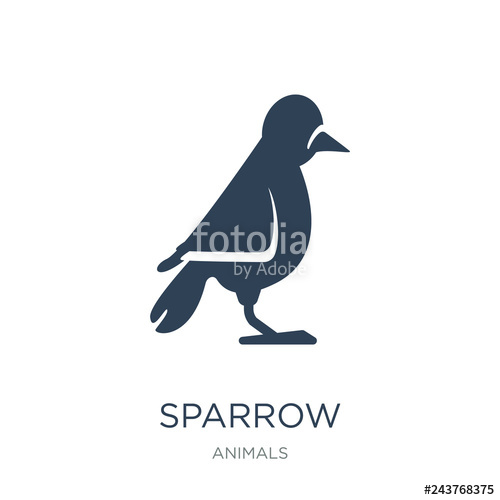 500x500 Sparrow Icon Vector On White Background, Sparrow Trendy Filled I