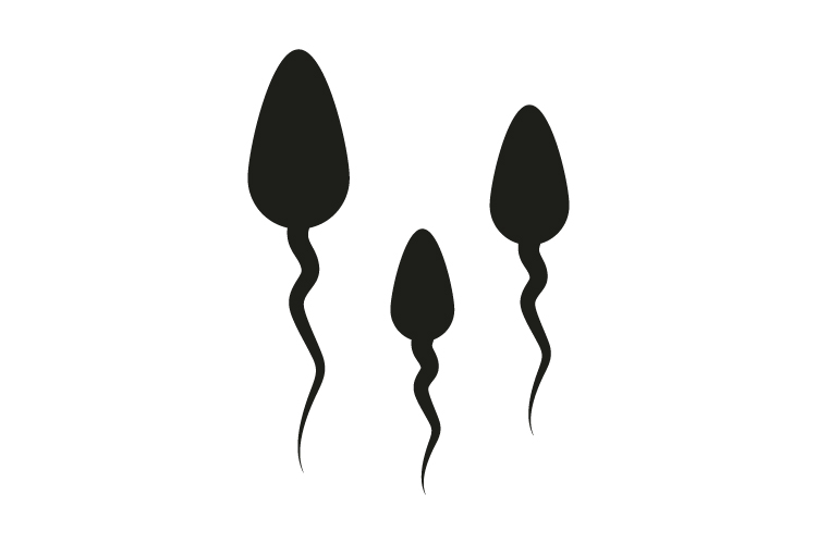 750x500 Sperm Icon