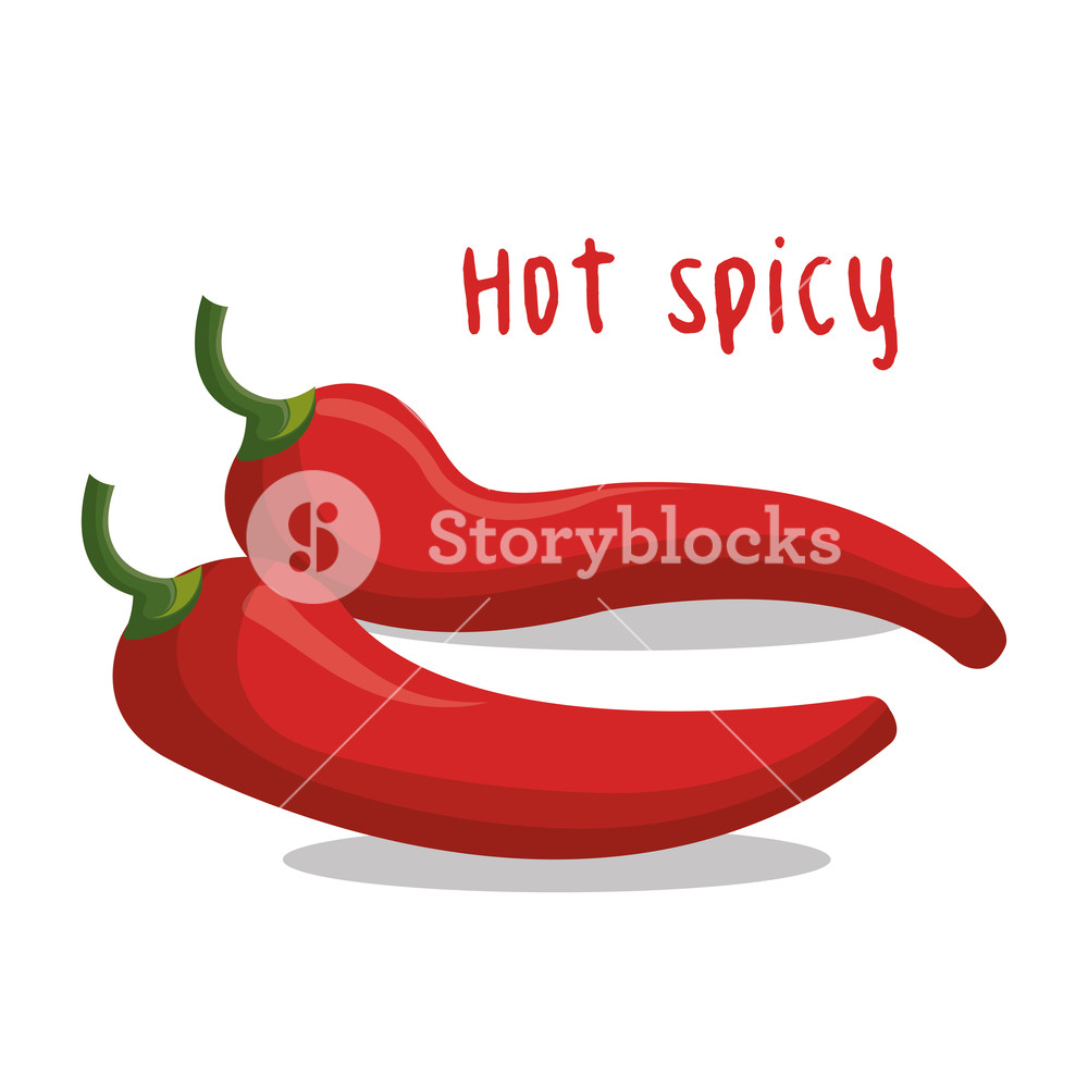 1000x1000 Icon Chili Pepper Hot Spicy Graphic Vector Illustration