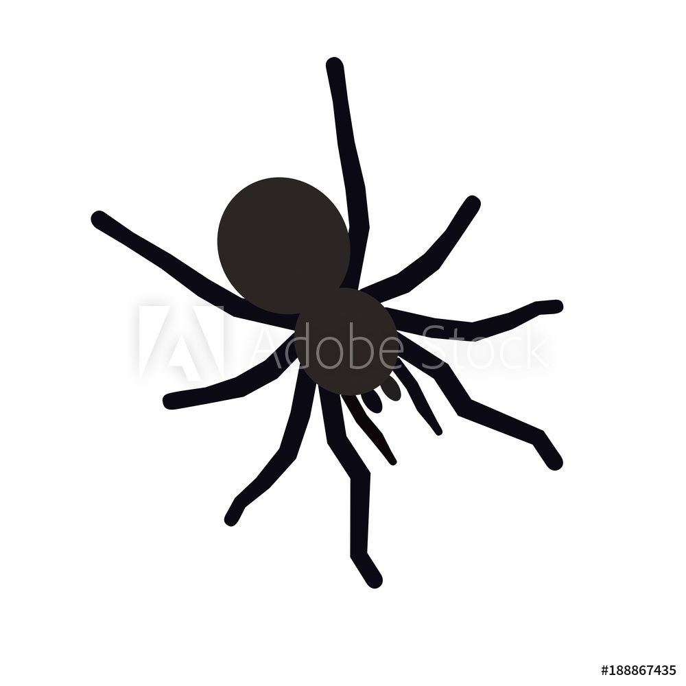 1000x1000 Photo Art Print Halloween Spider Icon Europosters
