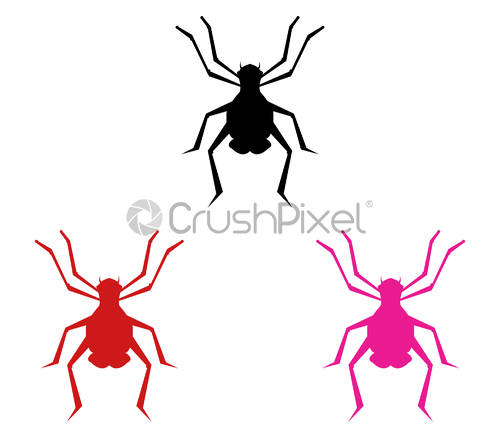 500x438 Spider Icon, Stock Vector Crushpixel