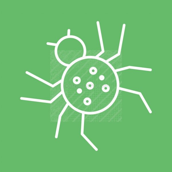 600x600 Spider Line Multicolor Bg Icon