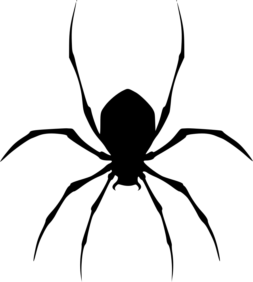 880x980 Spider Png Icon Free Download