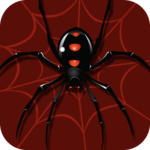 Spider Solitaire Icon at Vectorified.com | Collection of Spider ...