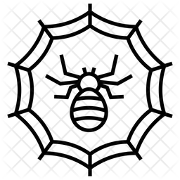 256x256 Spider Web Icon Of Line Style