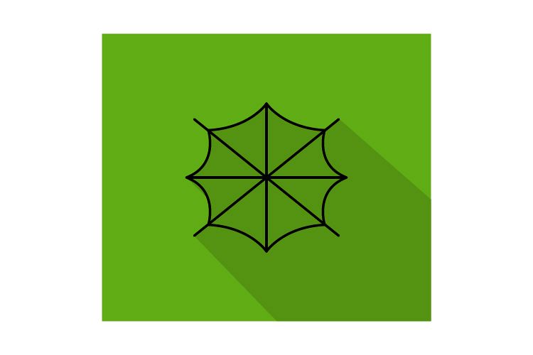 750x500 Spider Web Icon