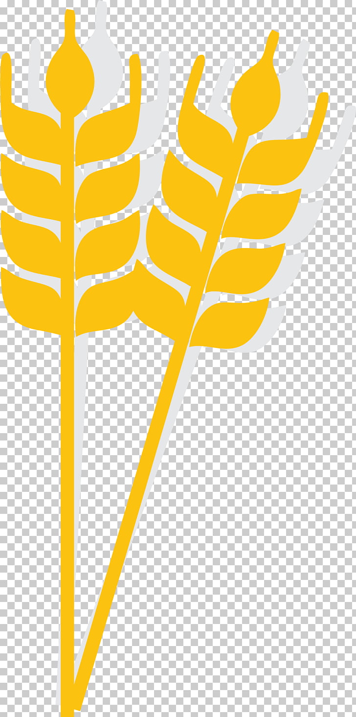 728x1465 Rice Cartoon Wheat Icon, Gold Cartoon Rice Spike Icon Png Clipart