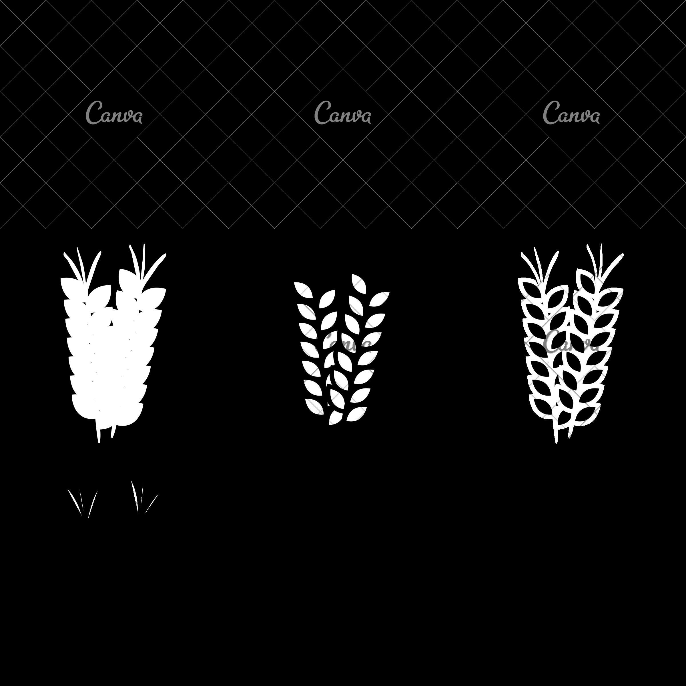 2400x2400 Wheat Spike Icon