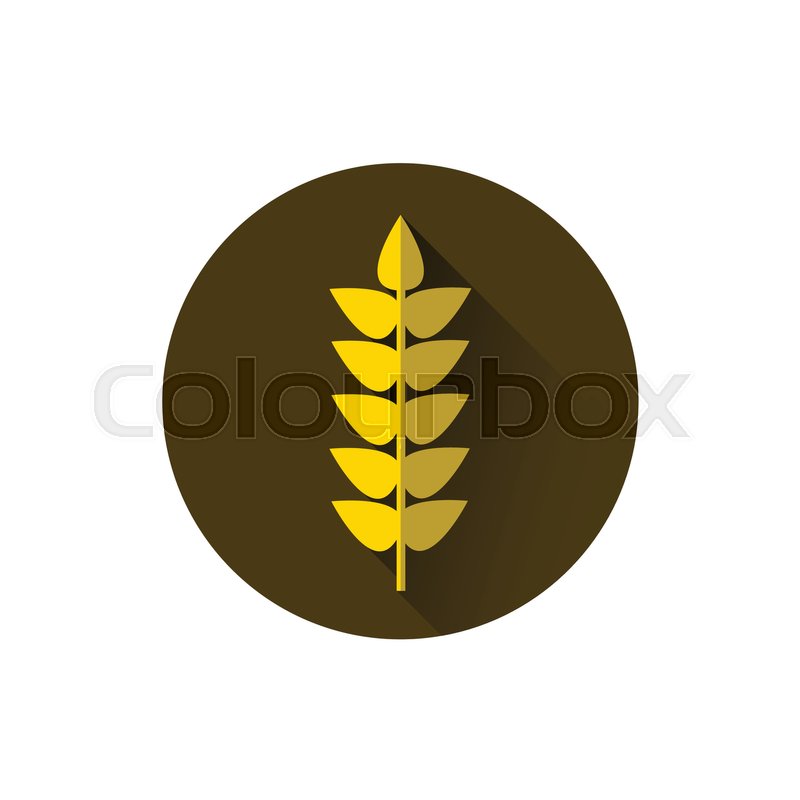800x800 Wheat Spike Icon Ripe Crop Grain Flat Stock Vector Colourbox