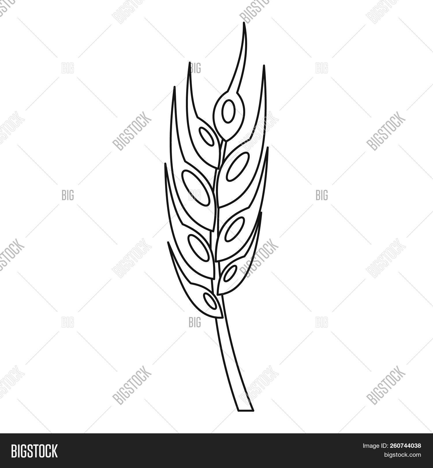 1500x1620 Barley Spike Icon Outline Illustration Of Barley Spike Icon