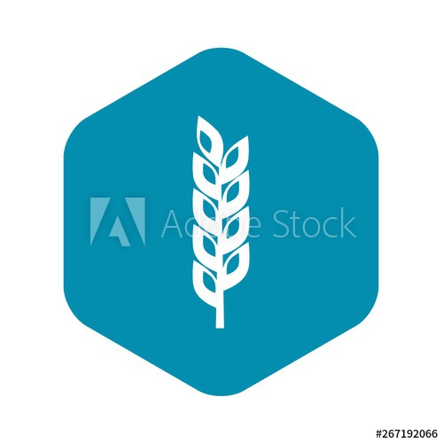 500x500 Grain Spike Icon Simple Illustration Of Grain Spike Vector Icon
