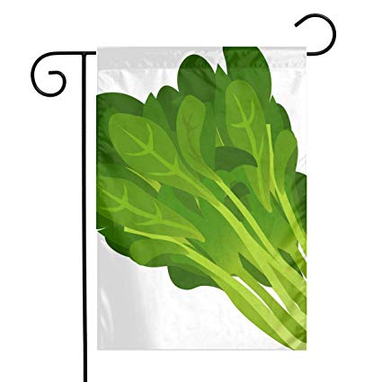 425x425 Food Fresh Spinach Icon Garden Flags House Indoor
