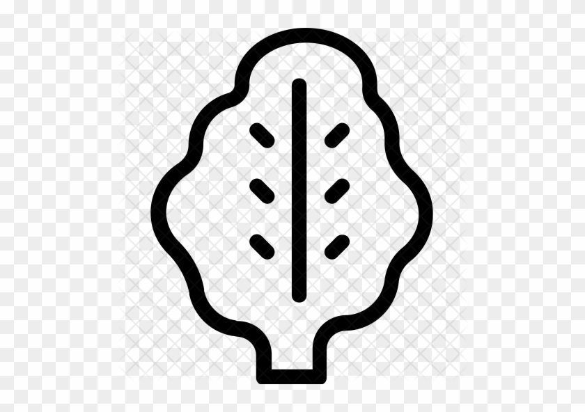 Spinach Icon 840x592 Spinach Icon