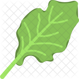 Spinach Icon Of Flat Style 256x256 Spinach Icon Of Flat Style