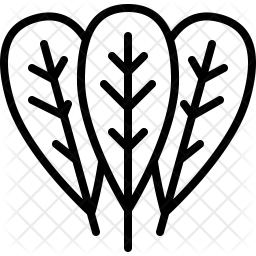 Spinach Icon Of Line Style 256x256 Spinach Icon Of Line Style