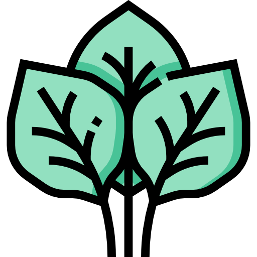 Spinach Icon Air Media Design 512x512 Spinach Icon Air Media Design