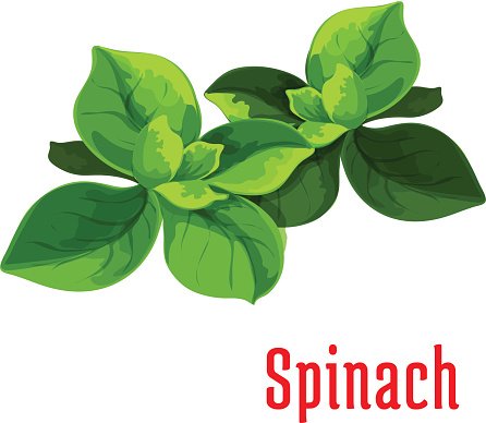 Spinach Leaves Vegetable Icon Premium Clipart 446x388 Spinach Leaves Vegetable Icon Premium Clipart