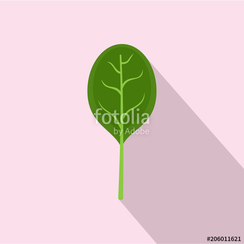 Spinach Leave With Shadow Icon Flat Illustration Of Spinach Leave 499x500 Spinach Leave With Shadow Icon Flat Illustration Of Spinach Leave