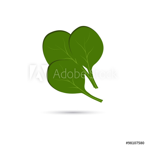 Spinach Leaves Icon 500x500 Spinach Leaves Icon