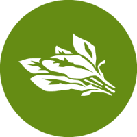 Corinne's Spinach In Murfreesboro Ripenear Me 200x200 Corinne's Spinach In Murfreesboro Ripenear Me