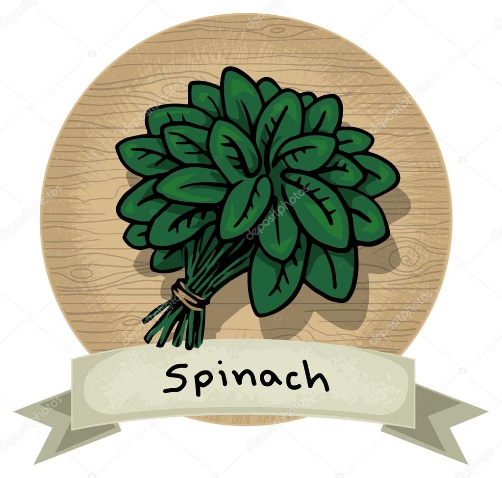 Image Result For Spinach Icon Icons How To Draw Hands 1024x974 Image Result For Spinach Icon Icons How To Draw Hands