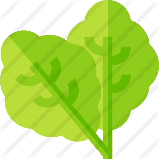 Spinach 512x512 Spinach