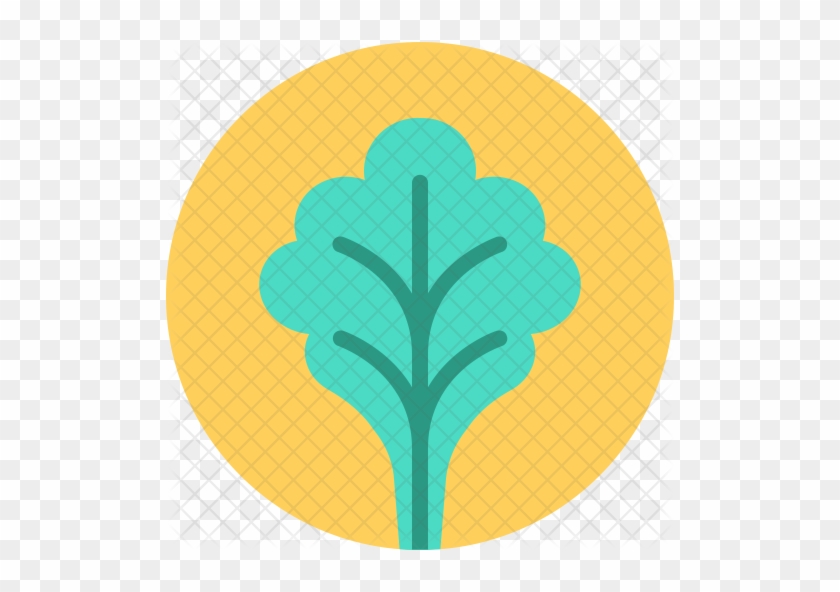 Spinach Icon 840x592 Spinach Icon