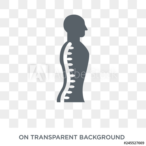 Human Spine Icon Trendy Flat Vector Human Spine Icon 500x500 Human Spine Icon Trendy Flat Vector Human Spine Icon