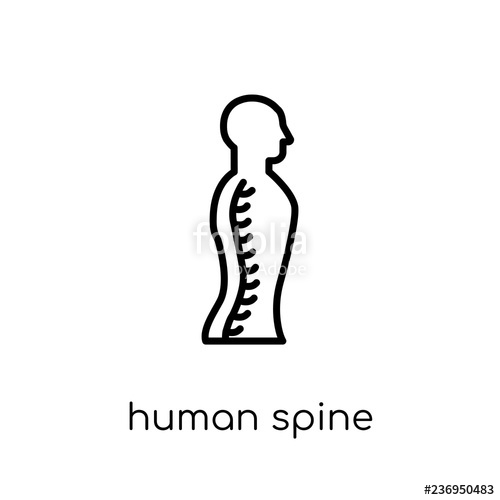 Human Spine Icon Trendy Modern Flat Linear Vector Human Spine 500x500 Human Spine Icon Trendy Modern Flat Linear Vector Human Spine